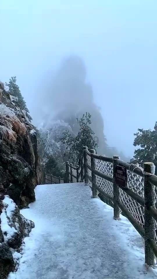 逃离水虎鱼湖