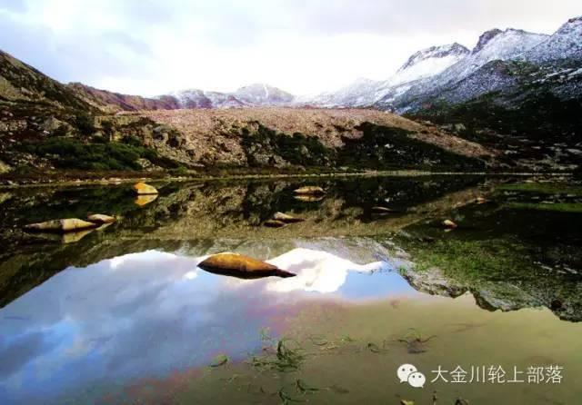 大雪过后喝点它,止咳、消炎又润肺,全家都能喝的“止咳水”